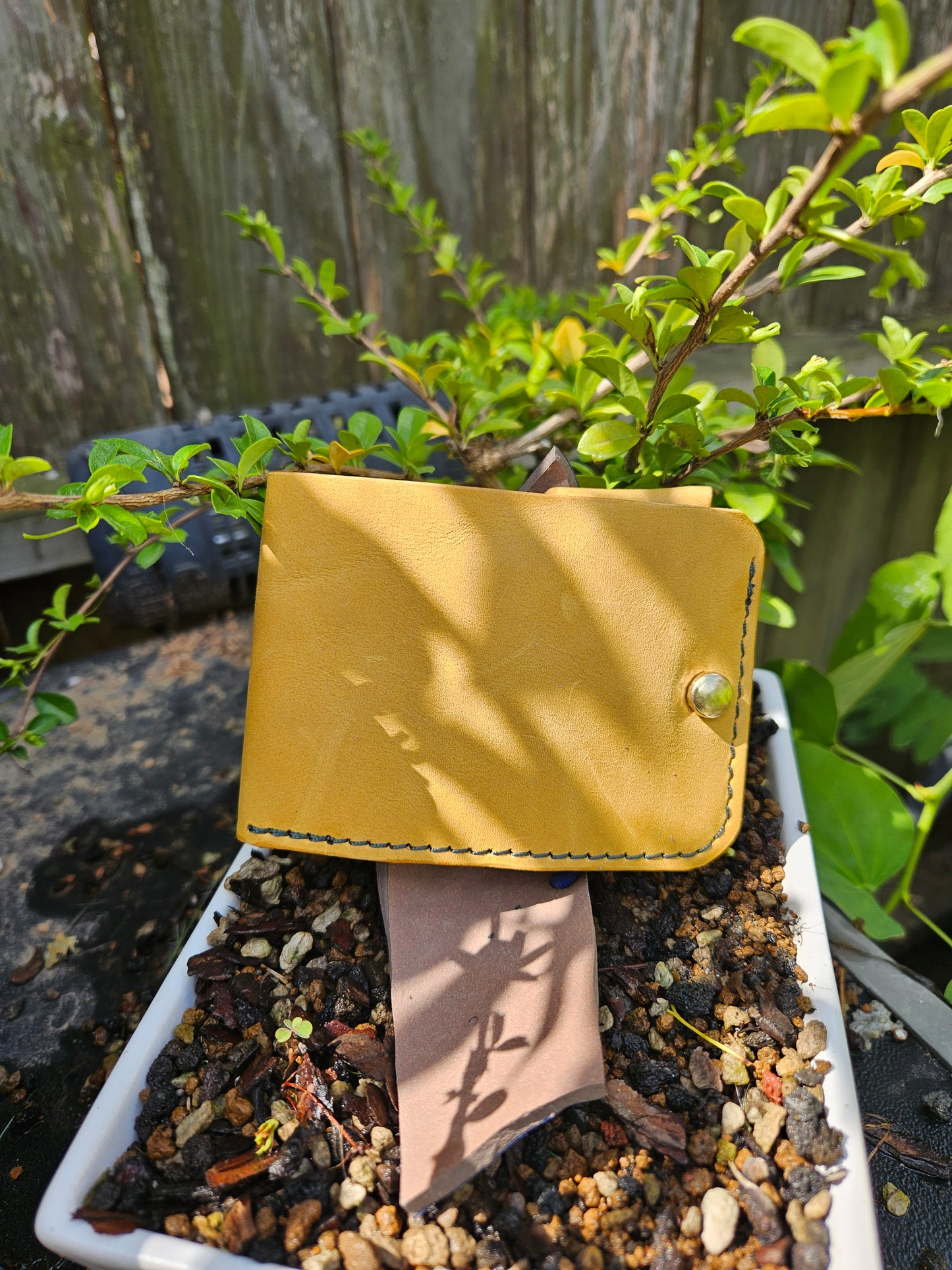 Traveler's Wallet