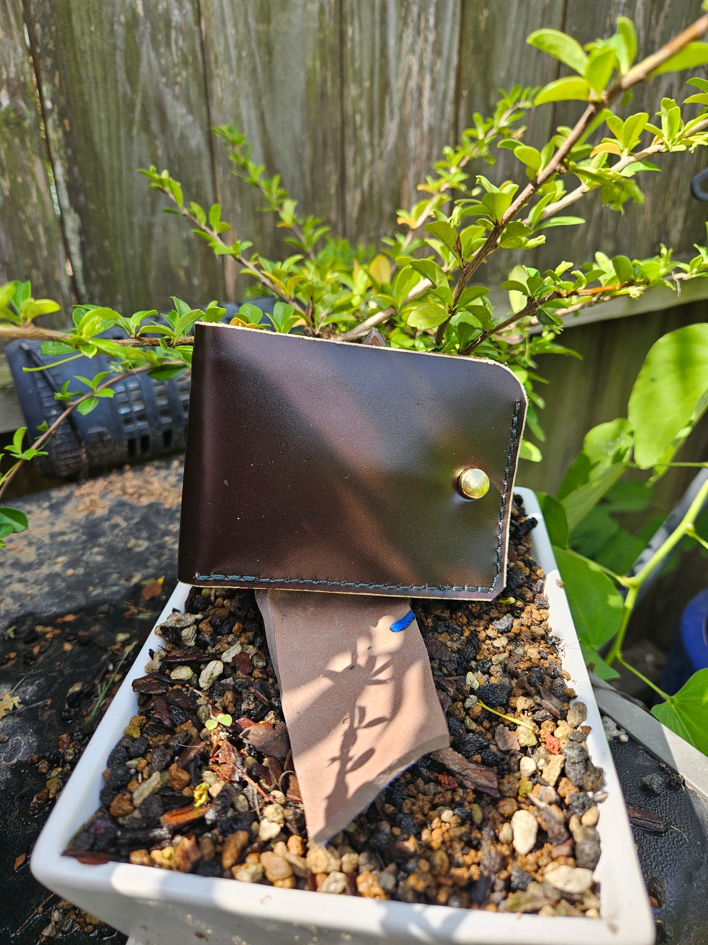 Traveler's Wallet