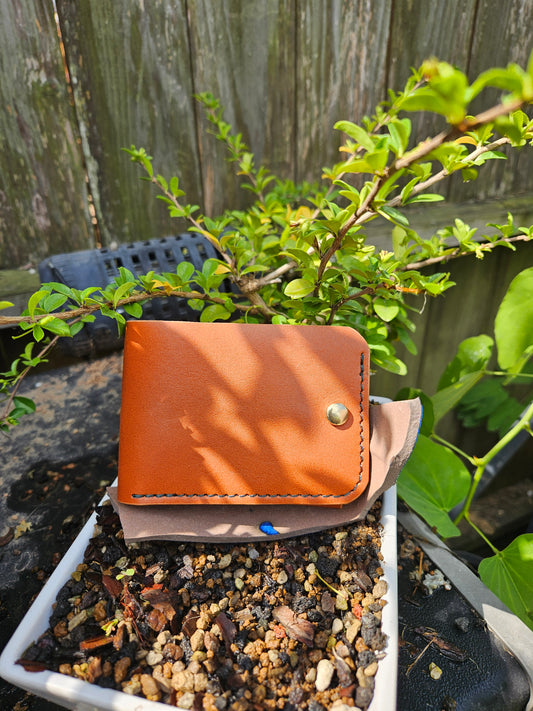 Traveler's Wallet
