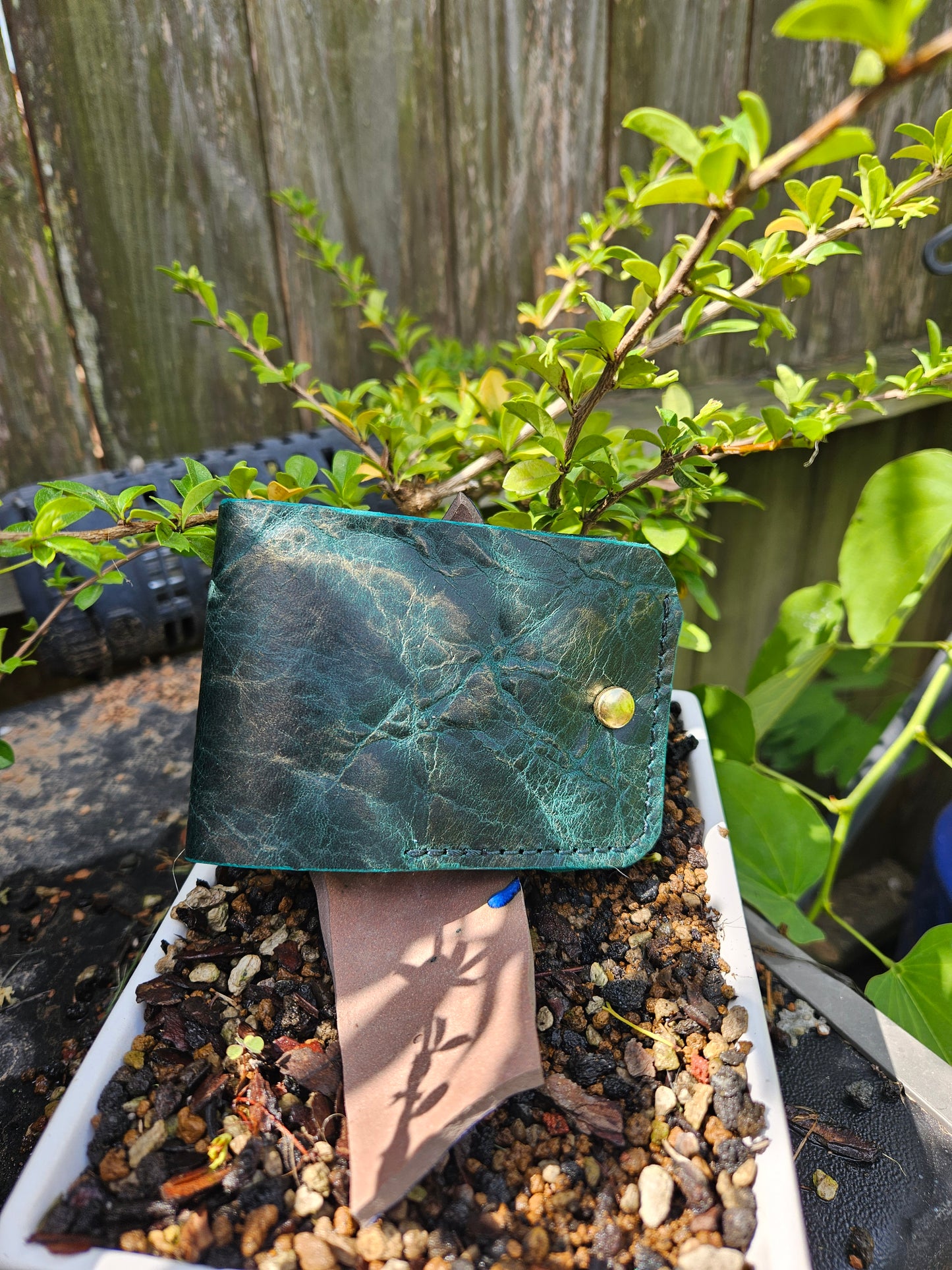 Traveler's Wallet